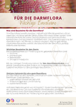 Laden Sie das Bild in den Galerie-Viewer, E-Book: Glücklicher Darm! Der Schlüssel zur ganzheitlichen Gesundheit